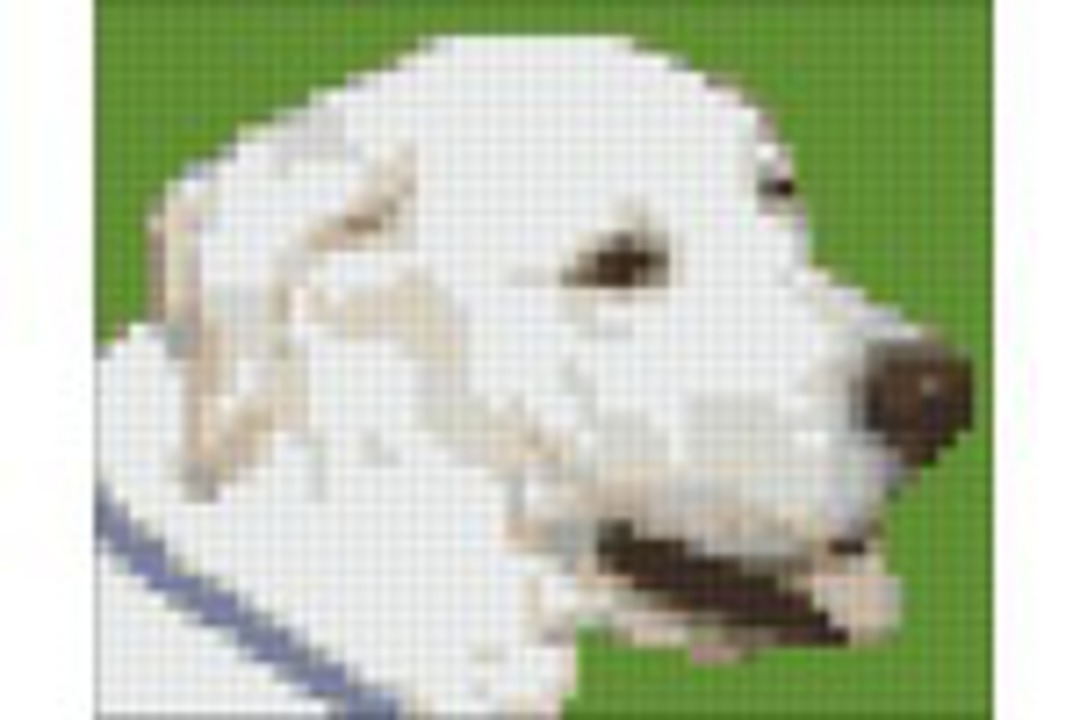 Paco The Dog One [1] Baseplate PixelHobby Mini-mosaic Art Kit image 0